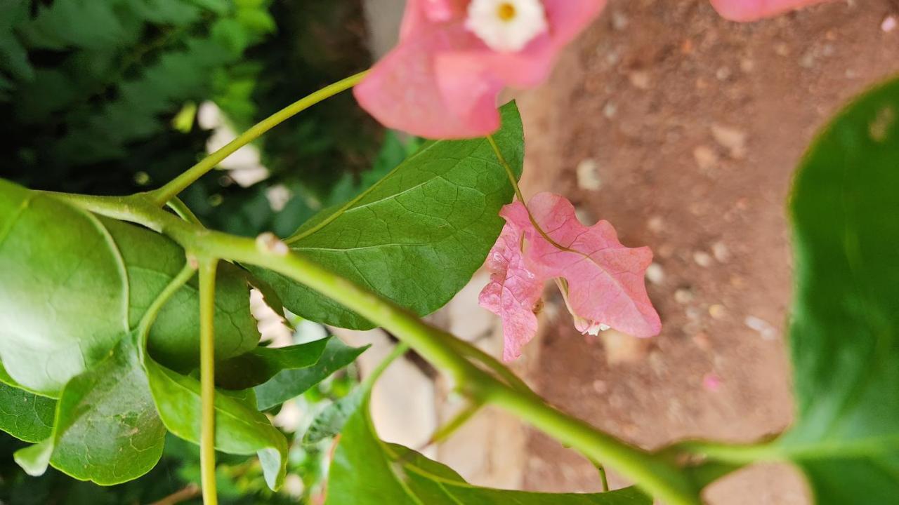 Kanthi Resorts Badami Bāgalkot Екстериор снимка