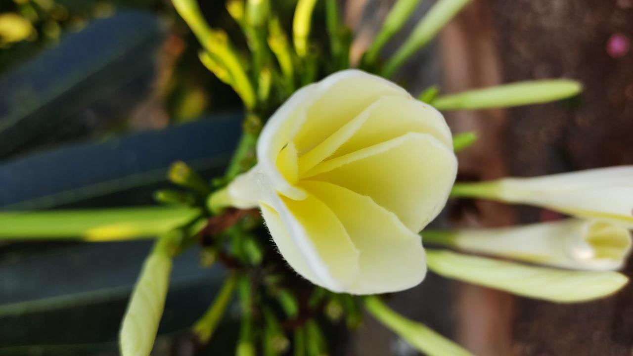 Kanthi Resorts Badami Bāgalkot Екстериор снимка