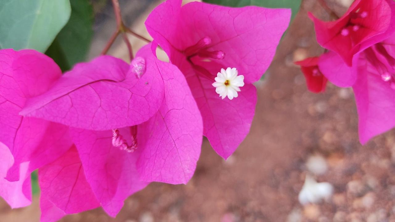 Kanthi Resorts Badami Bāgalkot Екстериор снимка